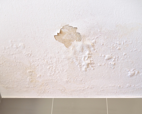 Water Leak Detection Service Image